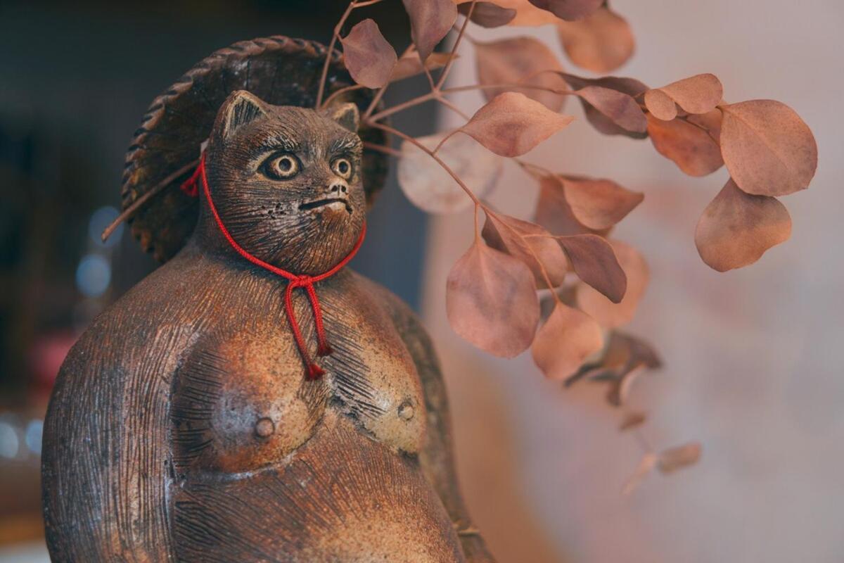 宿たぬきのねどこ Guesthouse Tanuki Tokoname Exterior photo